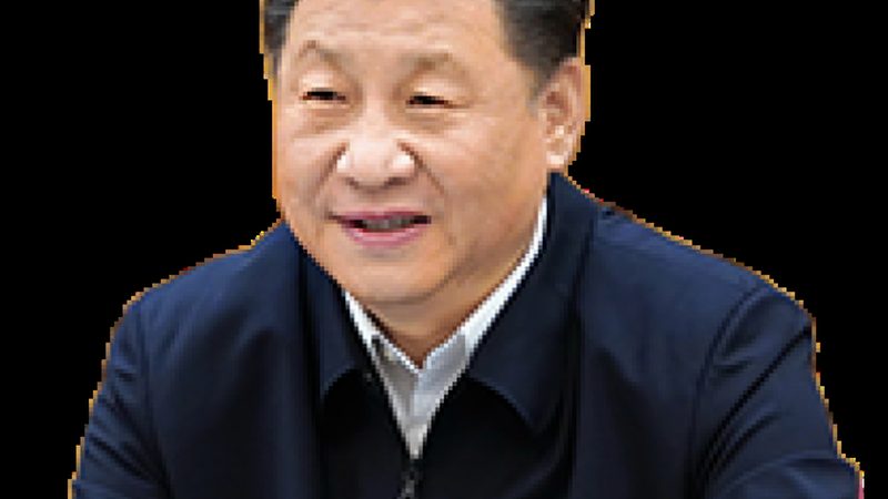 精细化工产品进出口贸易，揭秘行业佼佼者